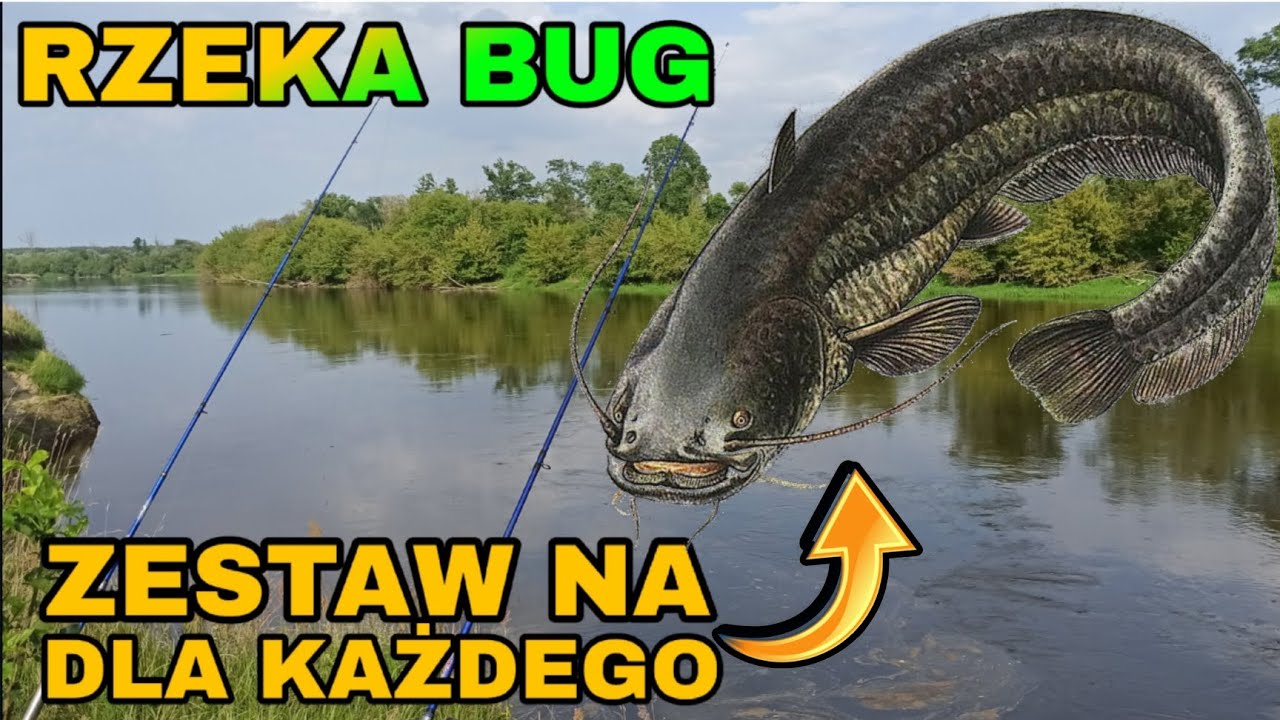 JADĘ NA BUG! NA SUMA! ZAKŁADANIE WĄTROBY. MÓJ ZESTAW