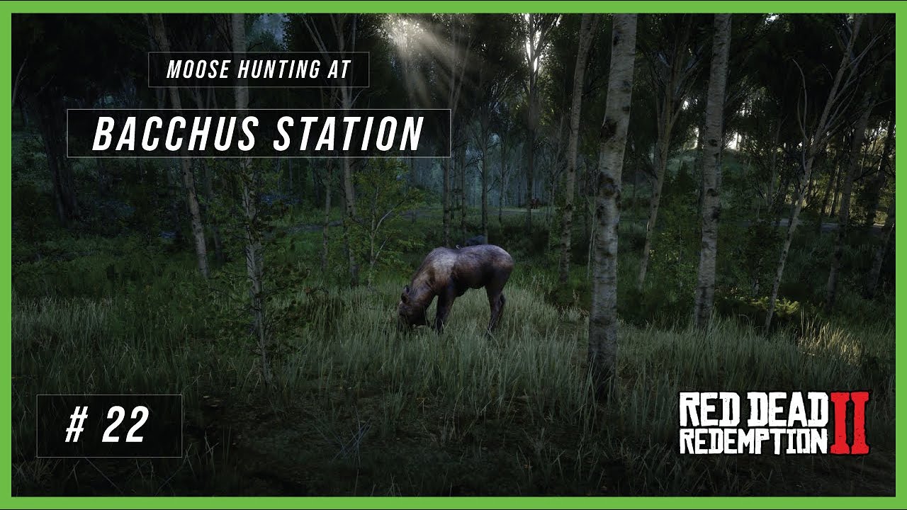 Moose Hunting near Bacchus Station!