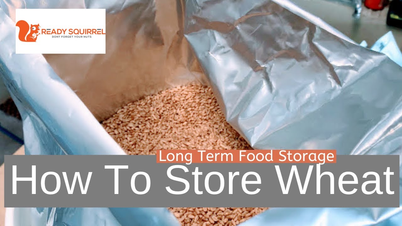 How To Store Wheat: Long-Term Food Storage