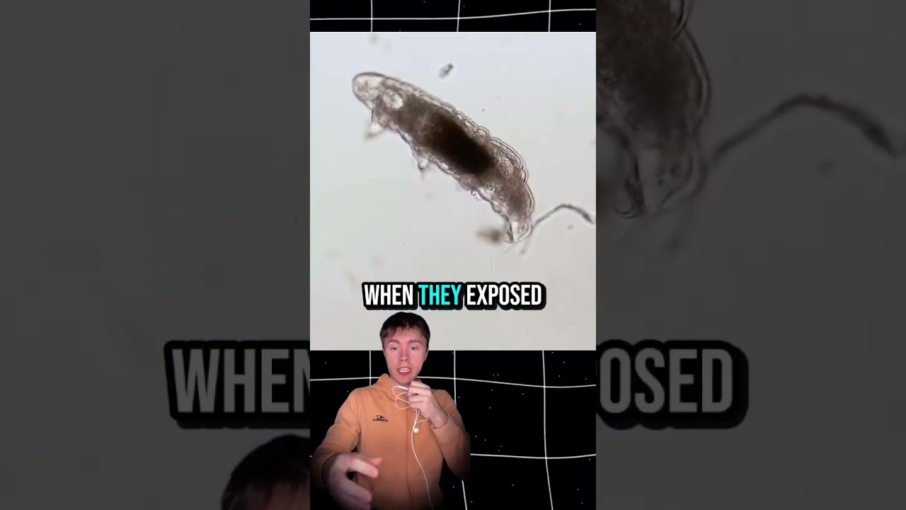 Animals with abilities that science can&rsquo;t explain! 🤯