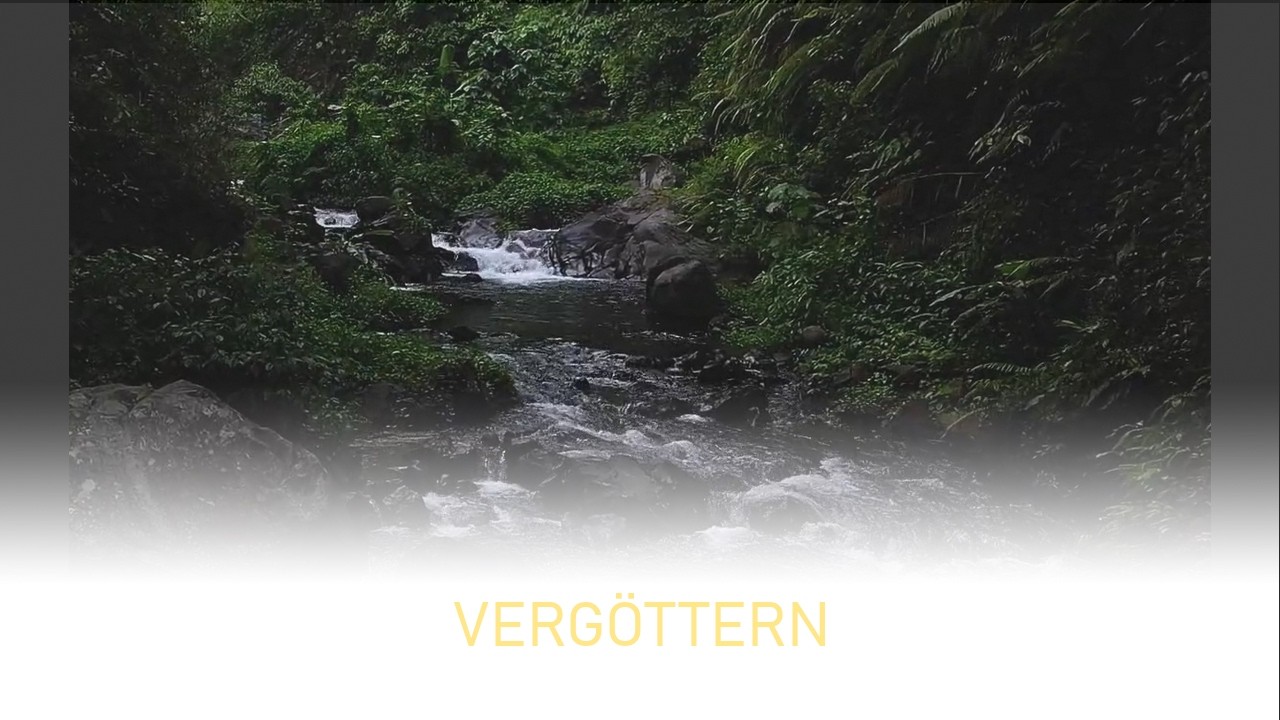 VERGÖTTERN