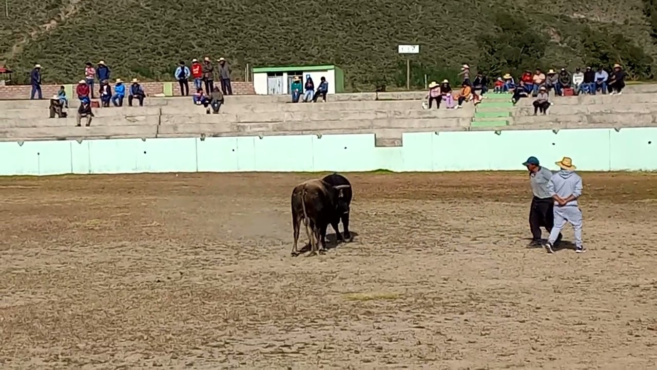 Alfeñique vs nene 27 de abril del 2025