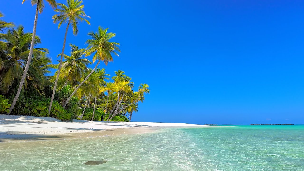 Fall Asleep In 5 Minutes With Ocean Sounds. Ocean Waves on a Tropical Island in Maldives