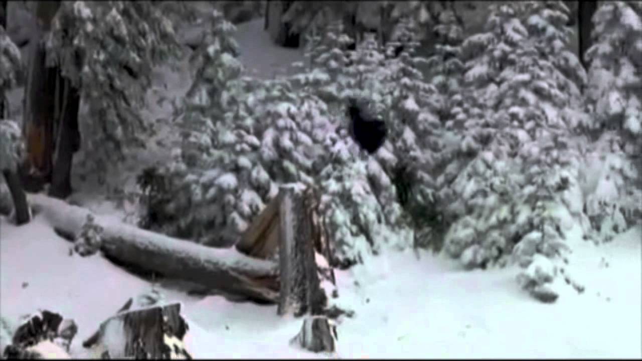 CRAZY SNOWBOARDING TRICKS!!! **IMPOSSIBLE**
