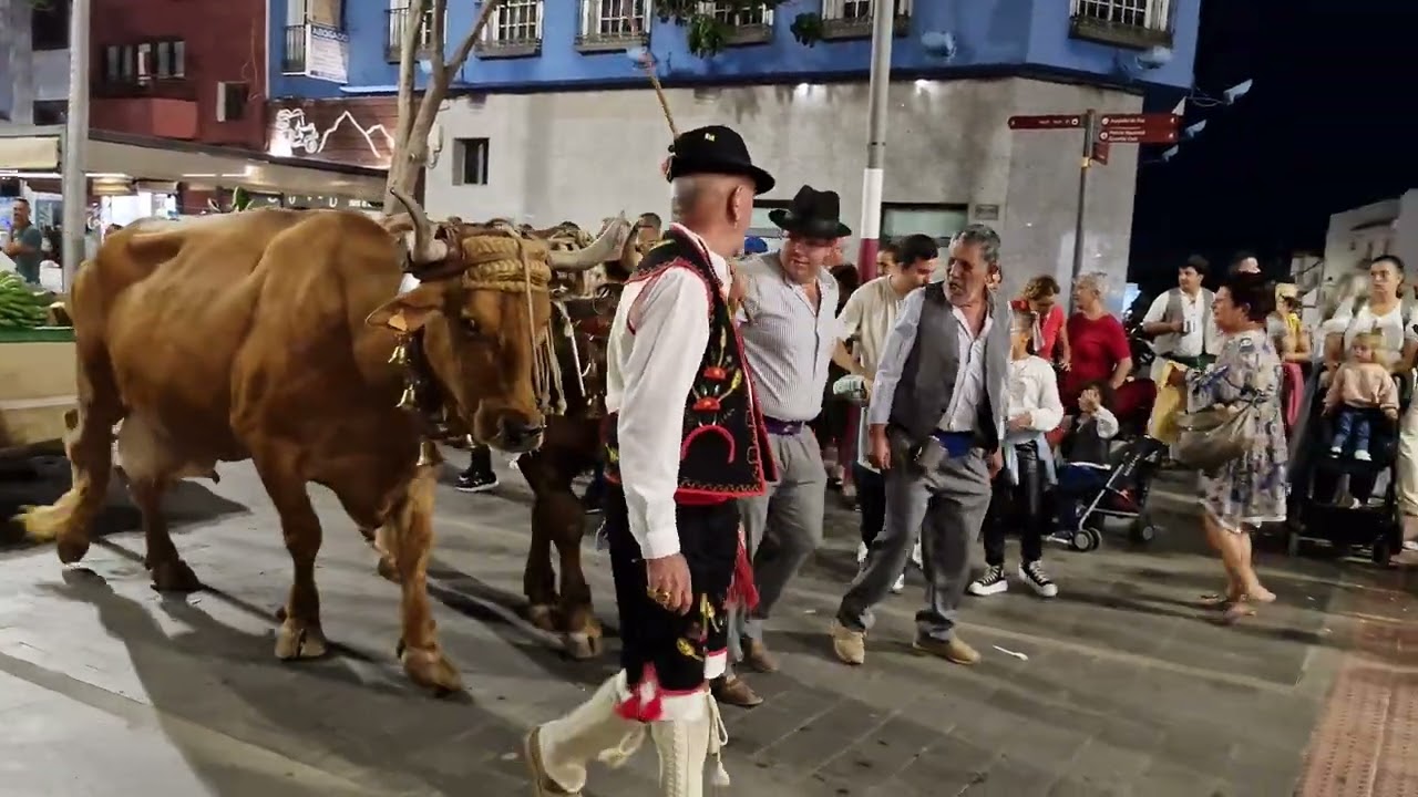 Romeria en Vecindario Fiestas de San Rafael 2025