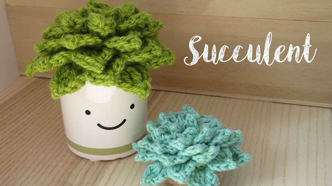 Crochet Succulent Echeveria Plant