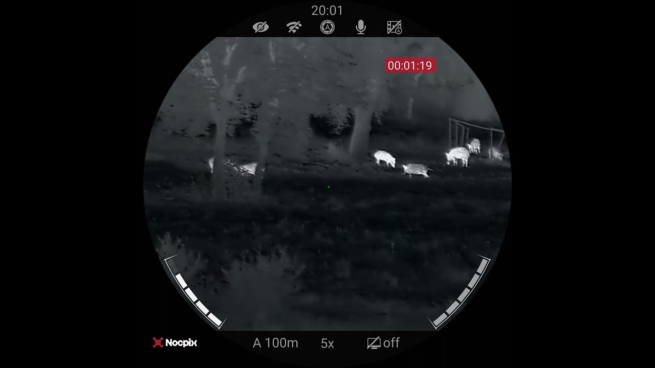 Nocpix  Ace  S60R   Javali a 96 mts