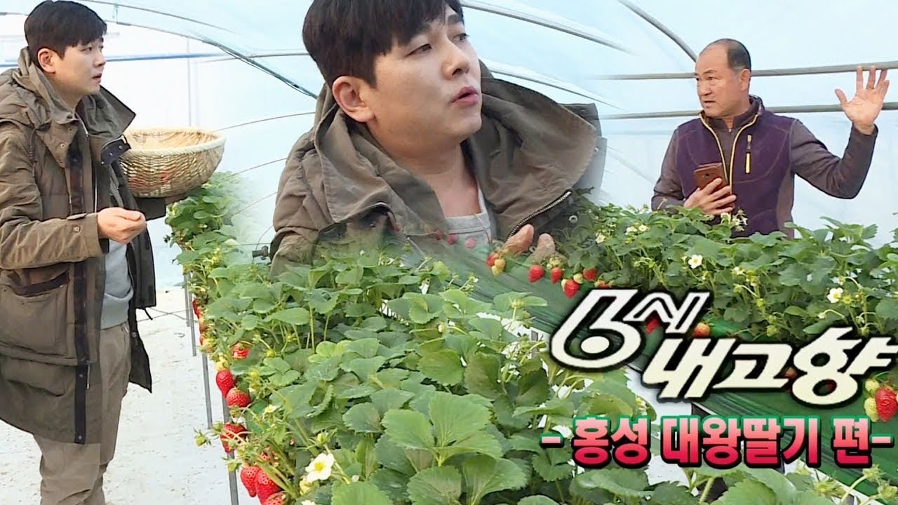 &lsquo;갑자기 분위기 6시 내 고향&rsquo; 최민용, 리포터로 변신! @불타는 청춘 196회 20190319