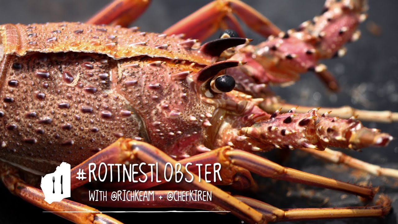 Taste Master: Rottnest Lobster