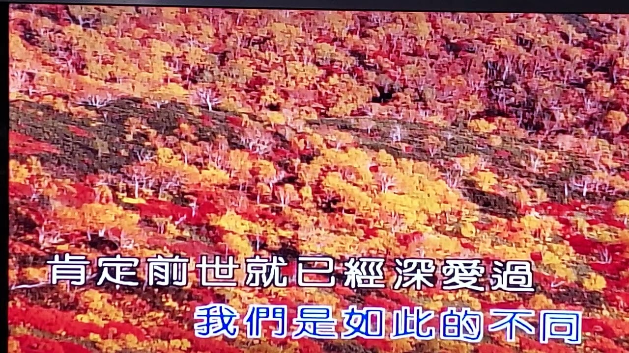 再度重相逢B調