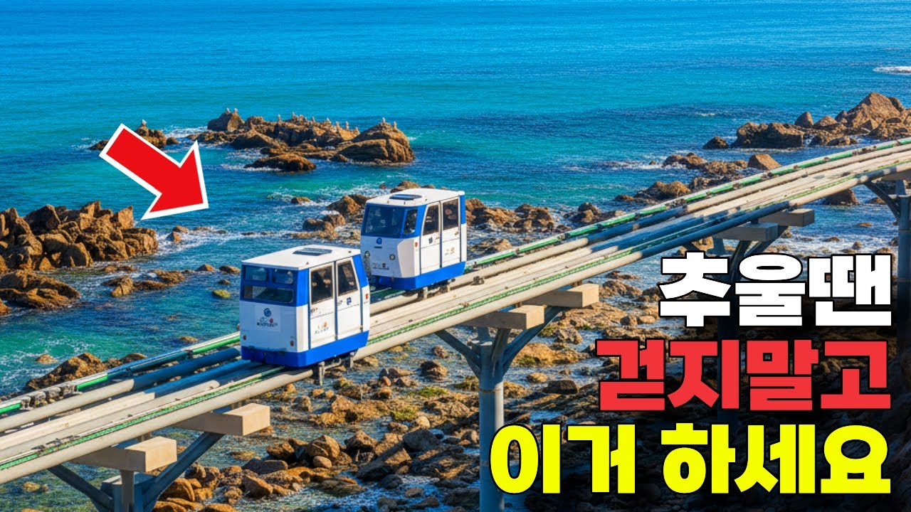 겨울에 걷기 좋은 모노레일 BEST5 ㅣ대중교통 당일치기 여행