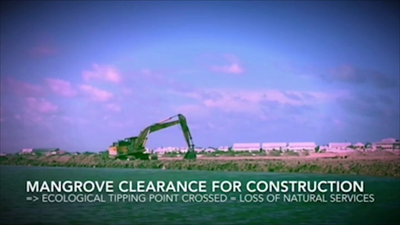 Mangrove Degradation and Coastal Development -Caribbean