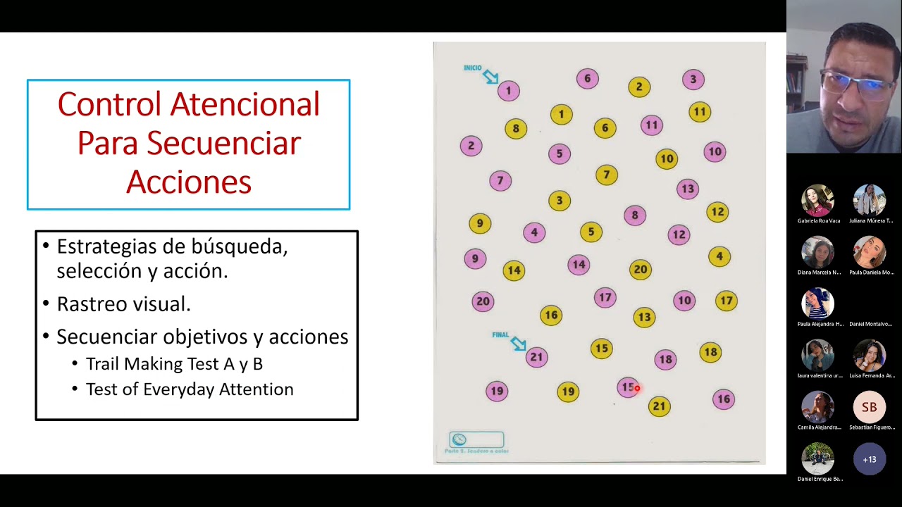 Modelo de Redes Neurales de las Funciones Ejecutivas