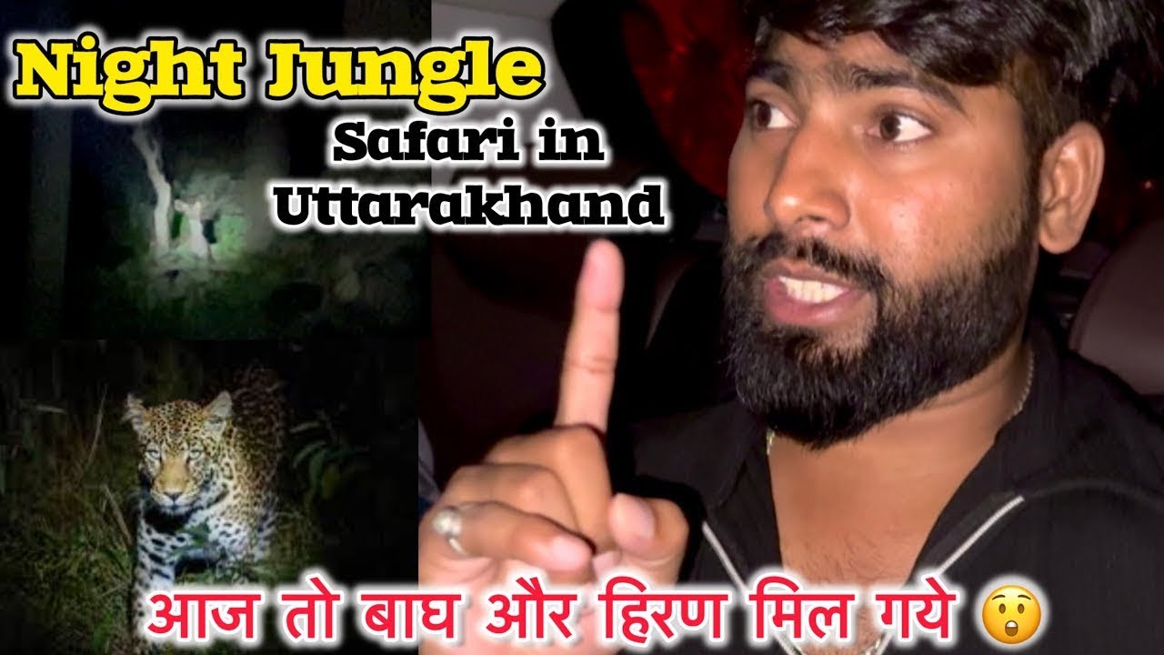 Night jungle Safari in Uttarakhand  | आज तो बाघ और हिरण मिल गये 😲 | #awaraladkauk04