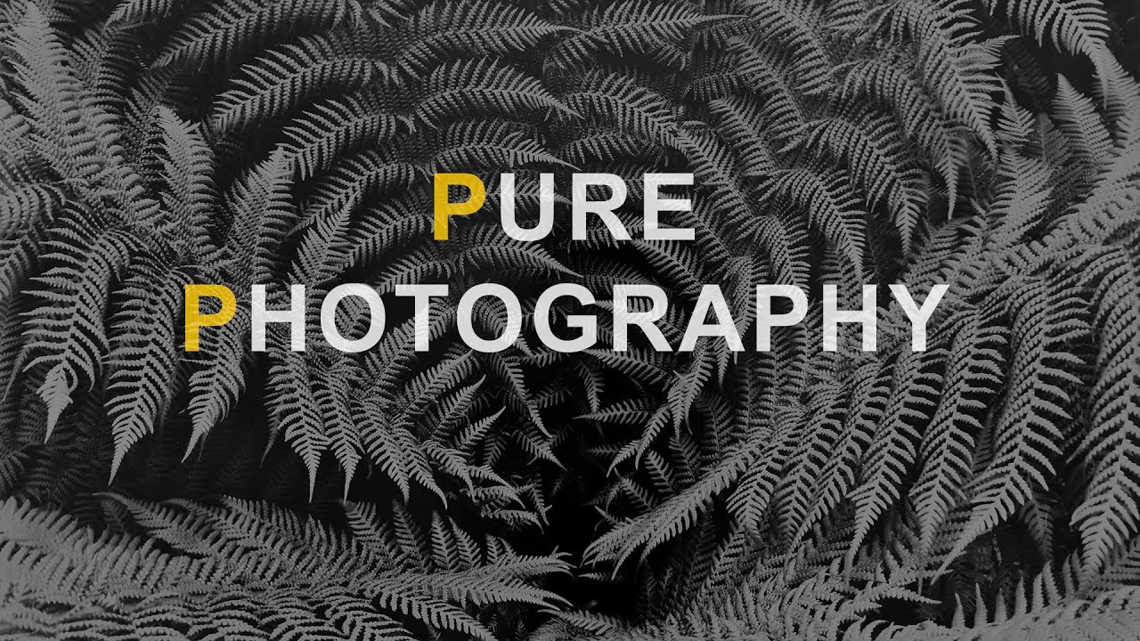 PURE PHOTOGRAPHY: 20th Century Floral Masterworks