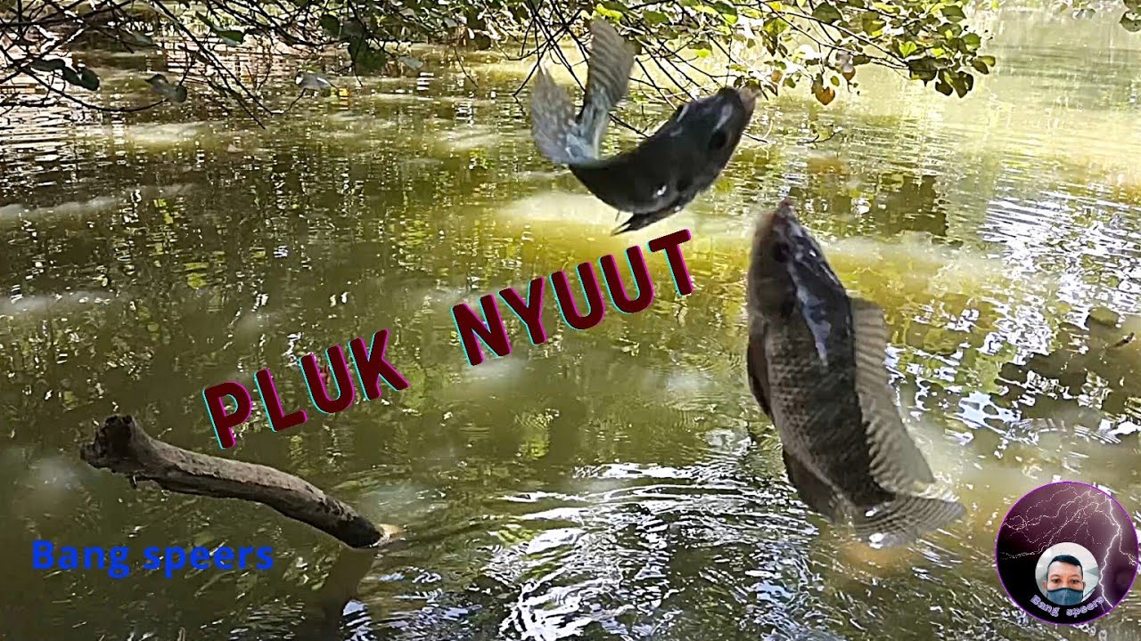 SORGA BAGI PARA ANGLER