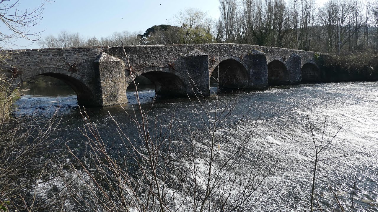 Hike along the Exe Valley Way&hellip; Tiverton to Cowley Bridge, with an unexpected twist.