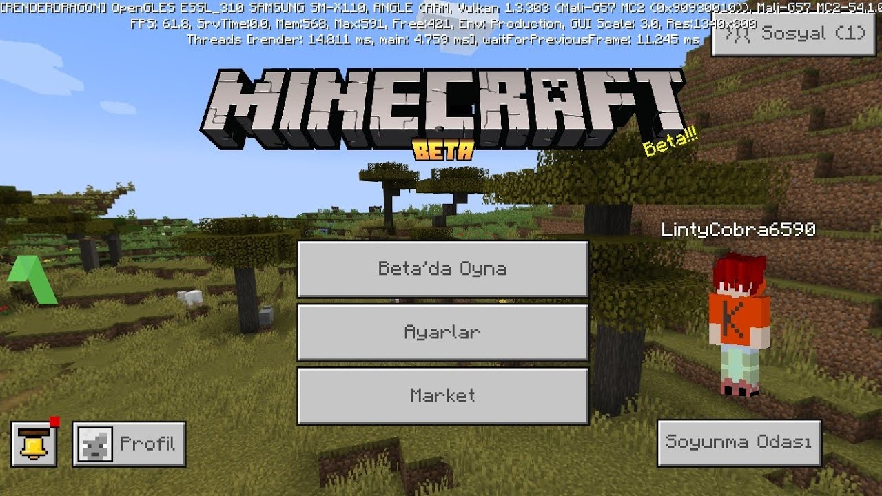 Minecraft survival S1