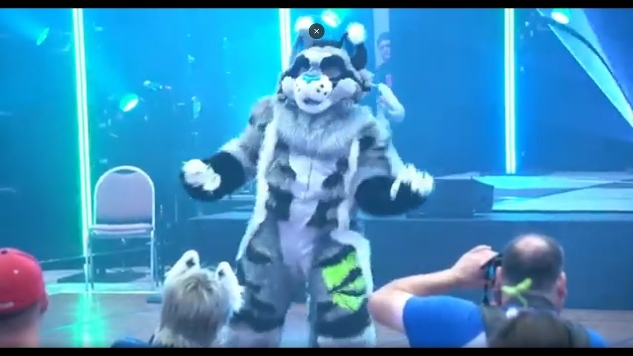 Dance Competition | Furvana 2025