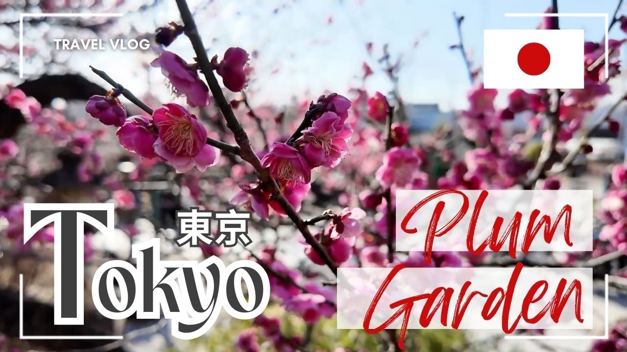 🌄 Spring is Finally Here! 🌸 (Ikegami Baien, Tokyo)🌸 ついに春が来た！ #plum #vlog #garden #japantravel #japan