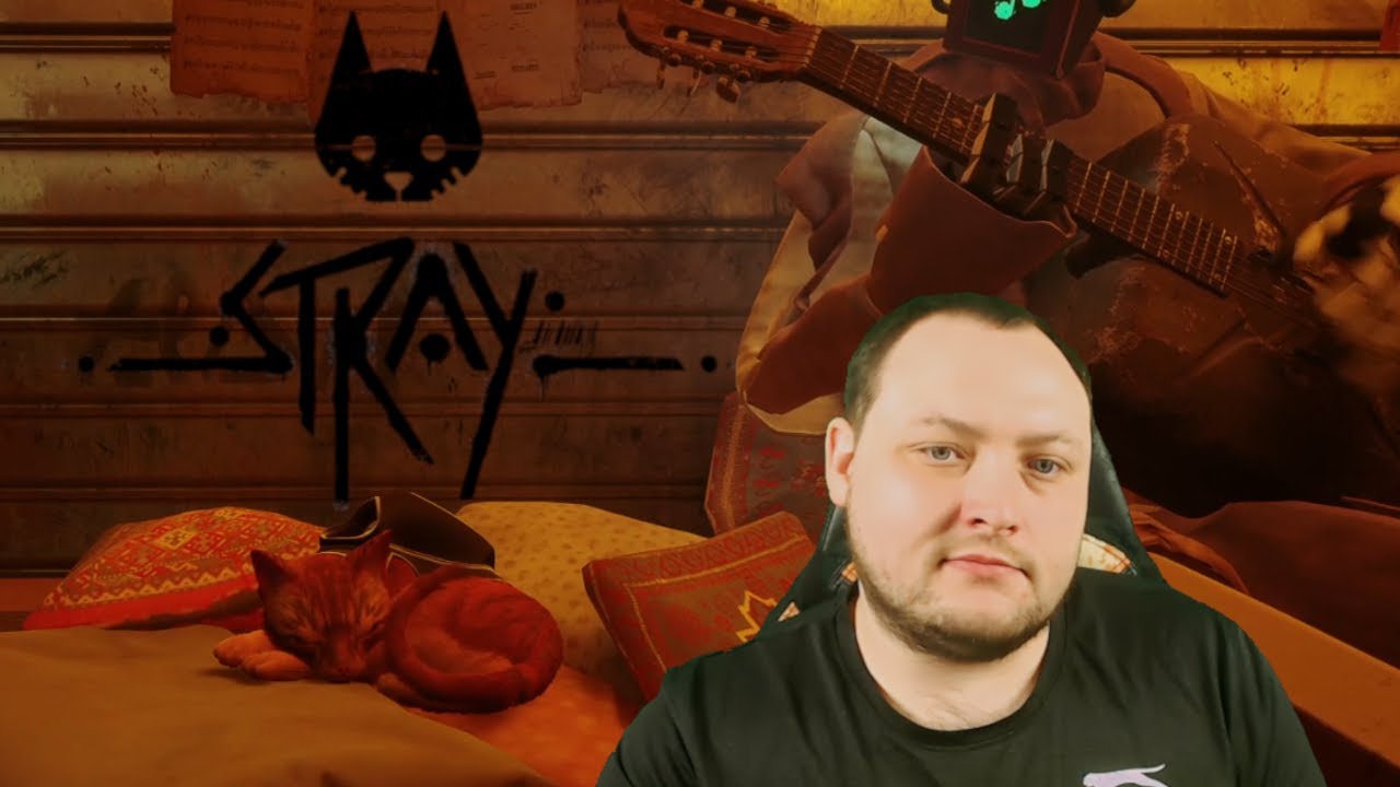 Stray - Das Abenteuer einer Katze