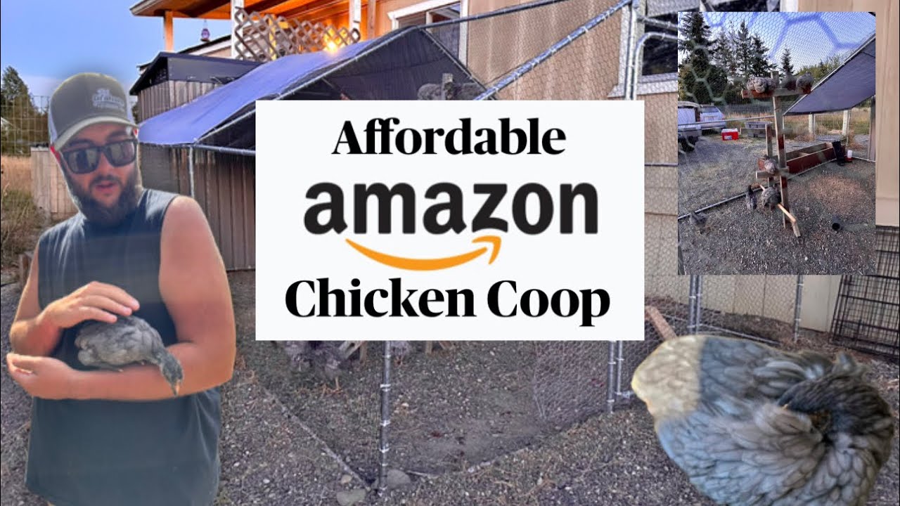 Setting up a TEMPORARY Amazon Chicken coop 🐓