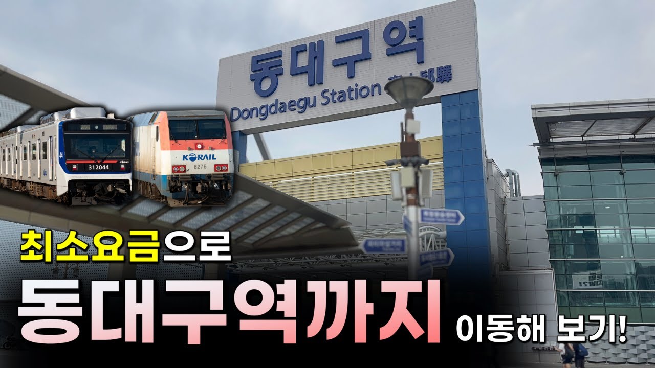 이렇게나 싸다고? 