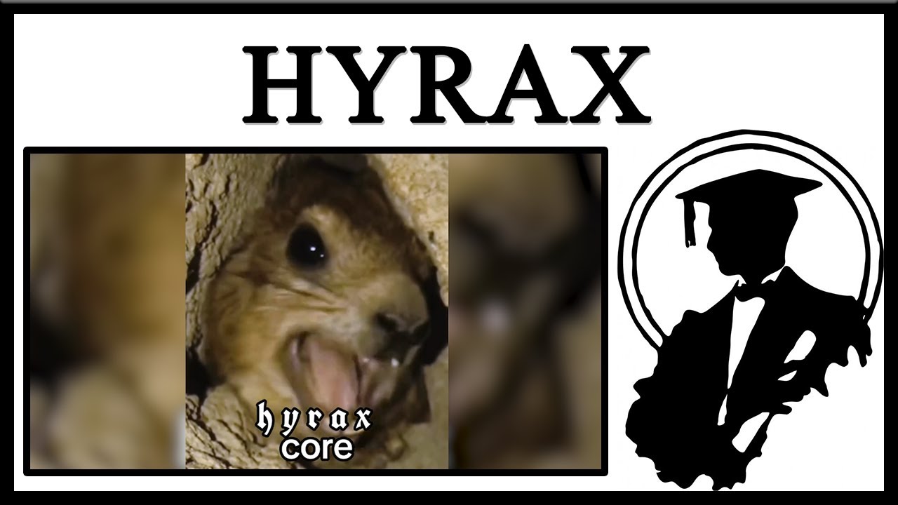 Hyraxes Are Cool