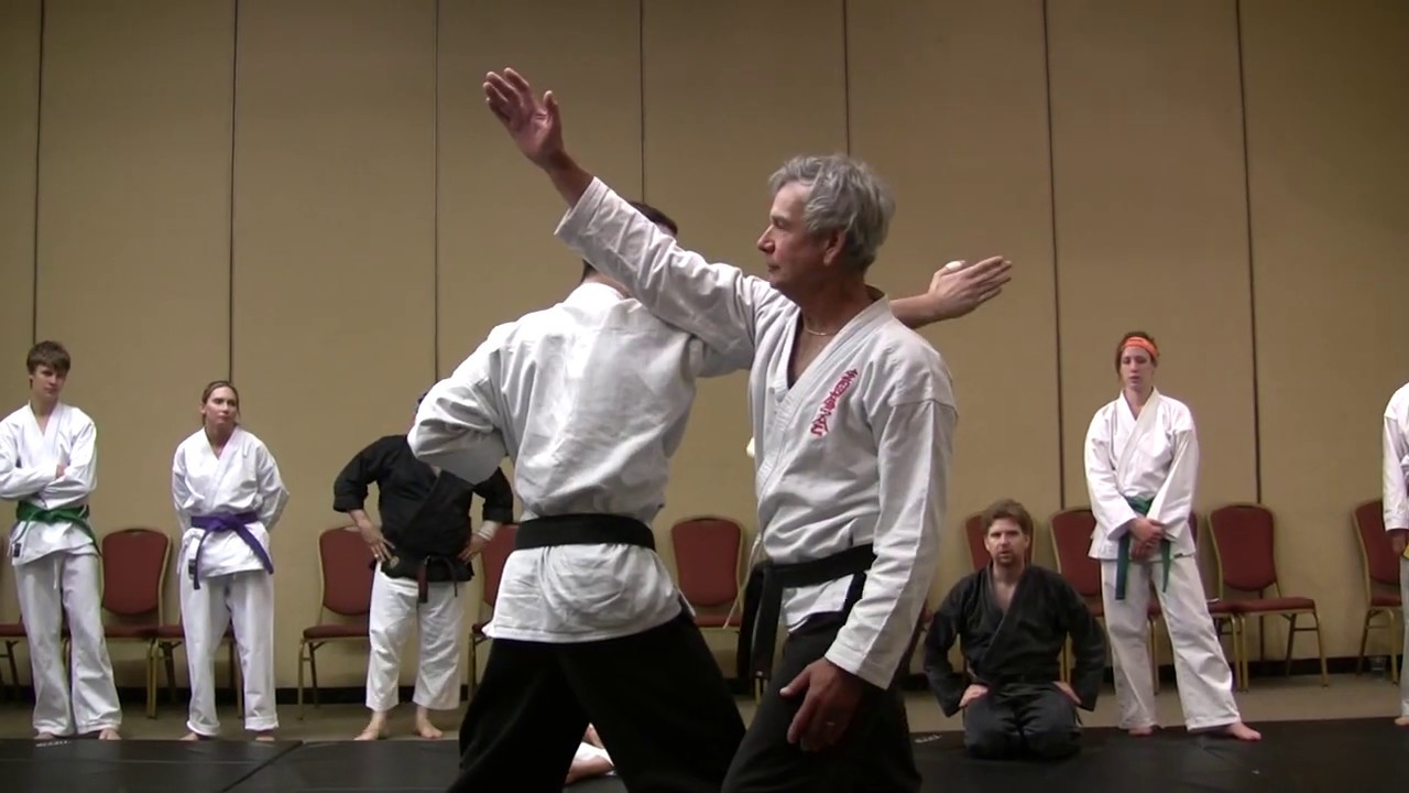 Glancing Nukite Defense against Shuto Oroshi into Shikoro Dori (Seirenkai Karate-Jutsu)