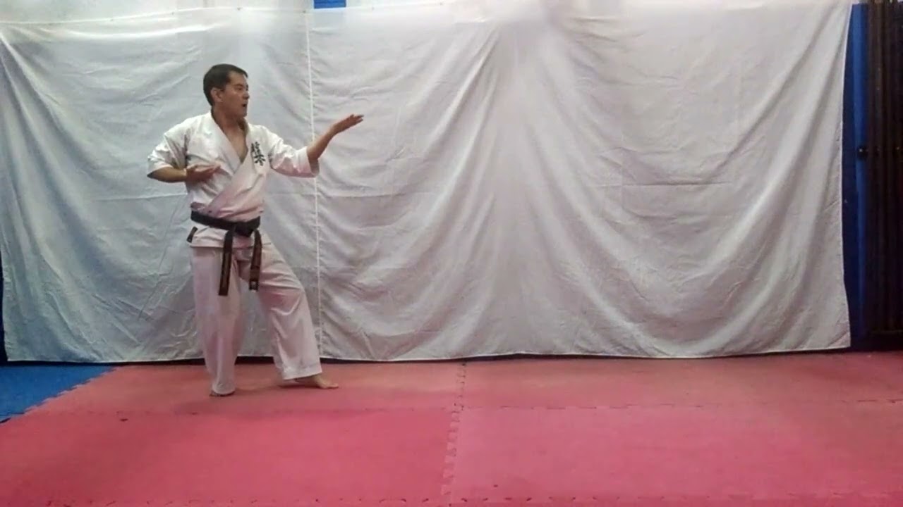 Kyokushinkaikan Karate - Idogeiko obrigatorio para a Faixa Verde 2023