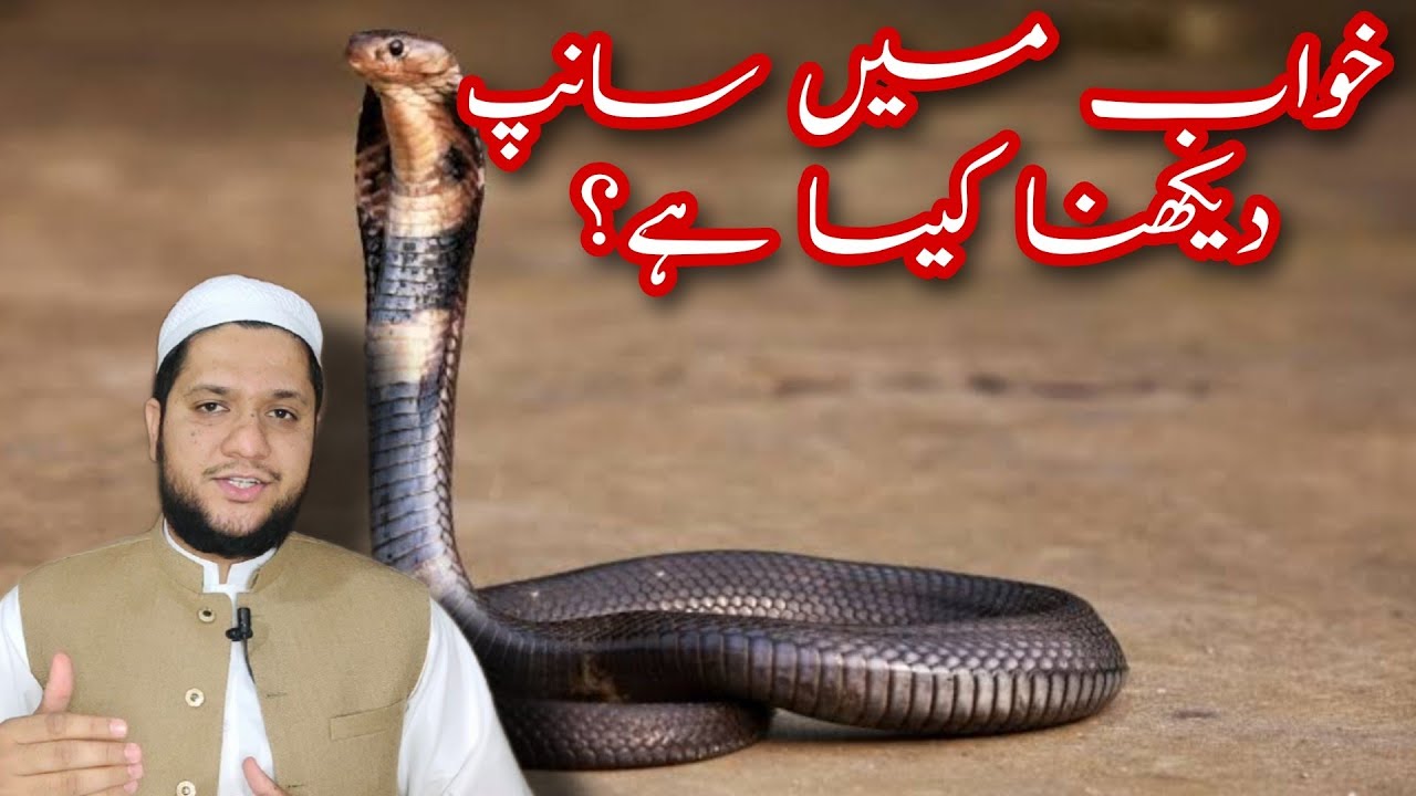 Khwab mein saanp dekhna || Snake dream meaning || خواب میں سانپ دیکھنے کی تعبیر