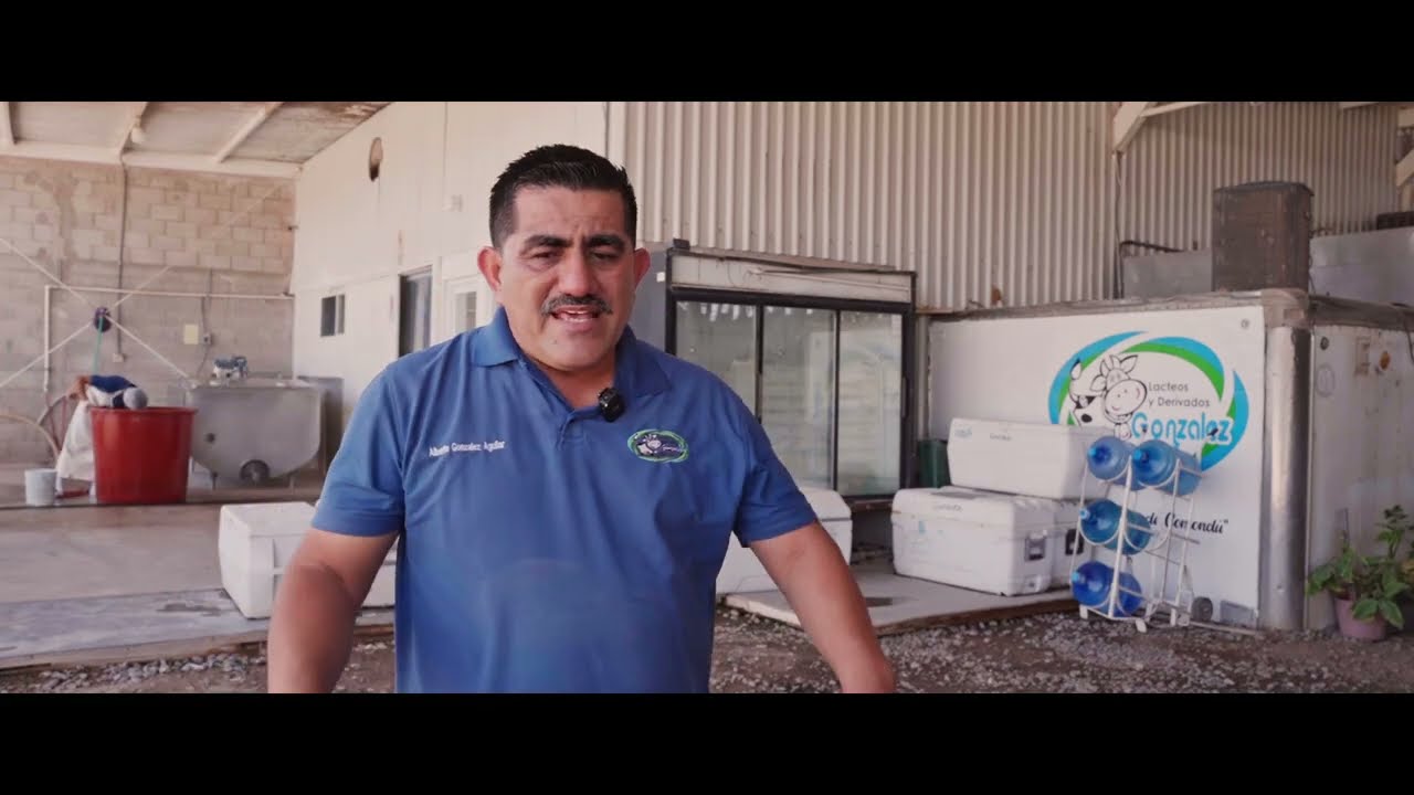T68 Lácteos y derivados González