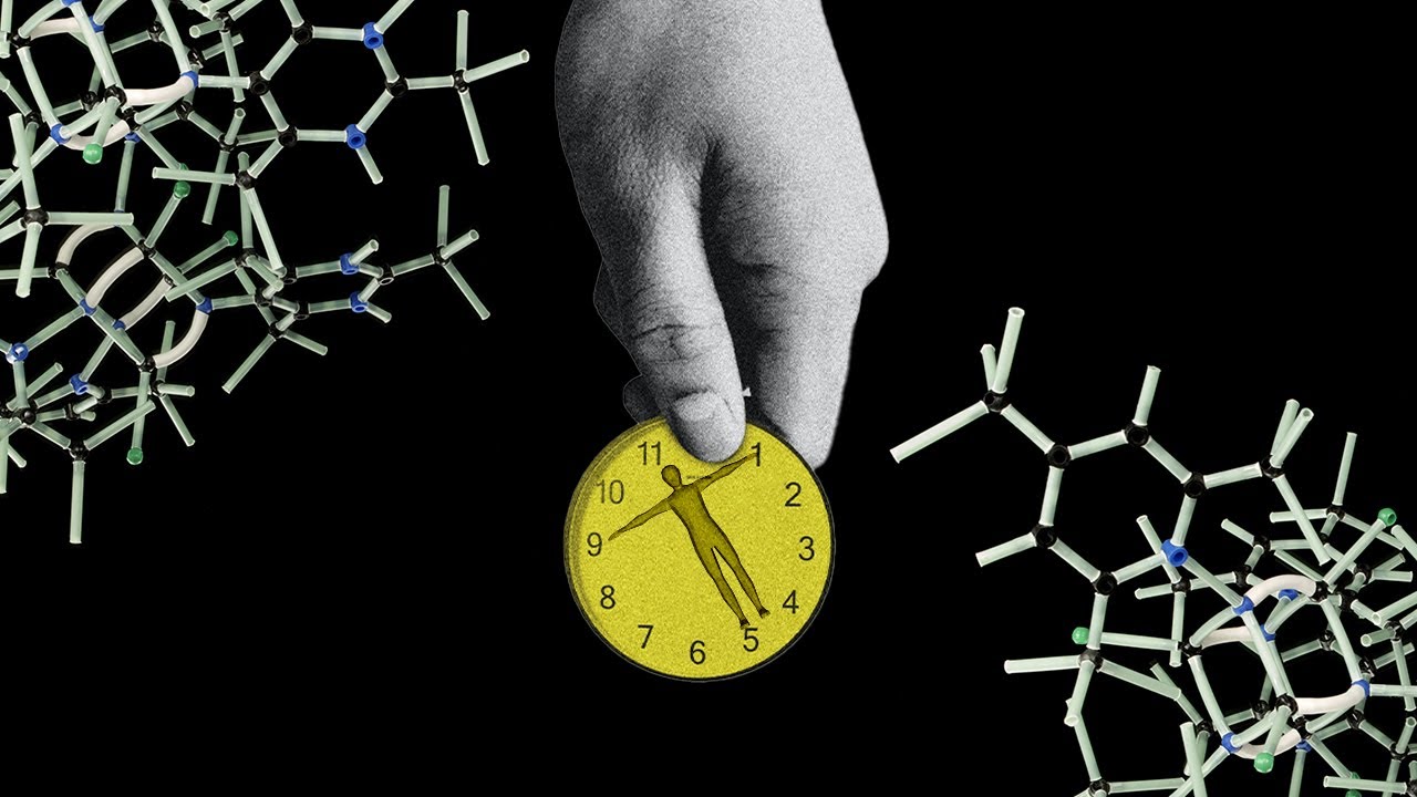 Are aging clocks telling the right time? - Eric Verdin, President - Buck Institute