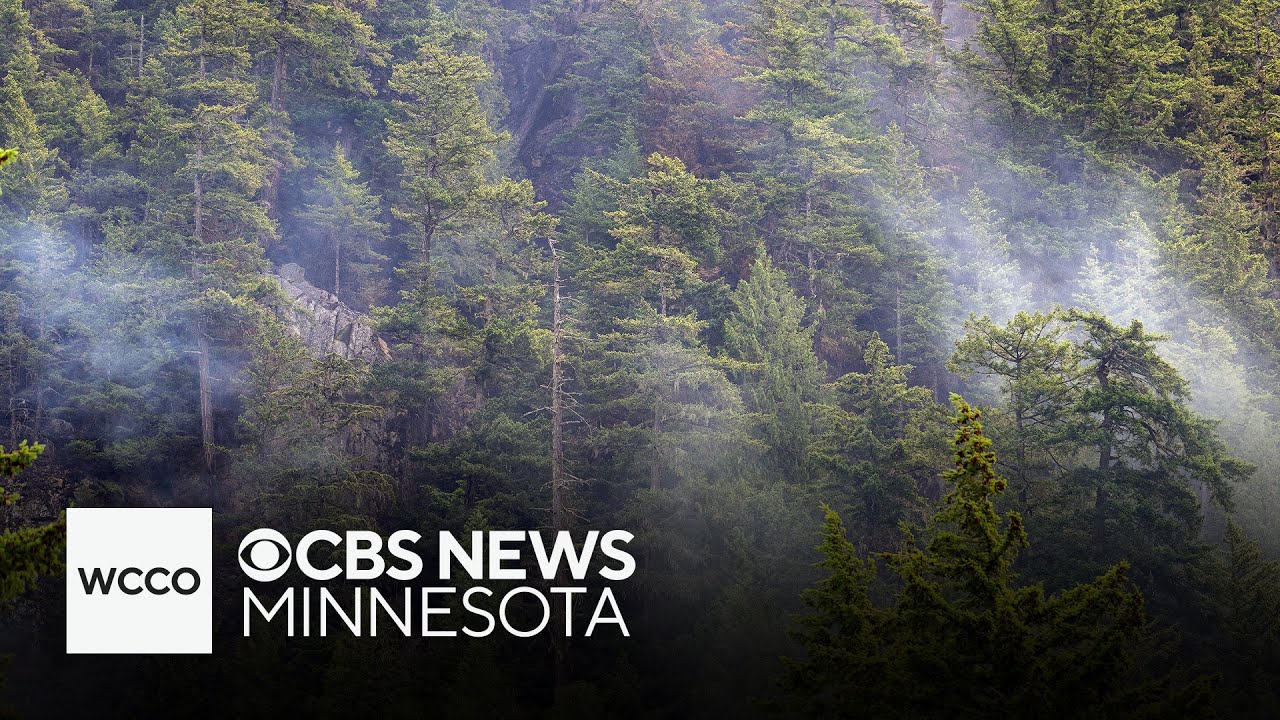 Canadian wildfires burn nearly 16 million acres