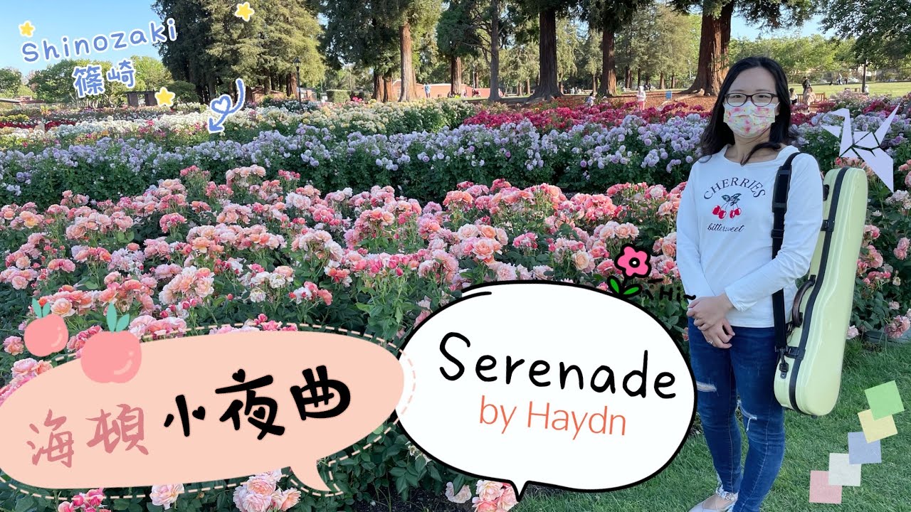 小夜曲－篠崎第四冊第12頁/小提琴示範－安安老師/Serenade by Haydn