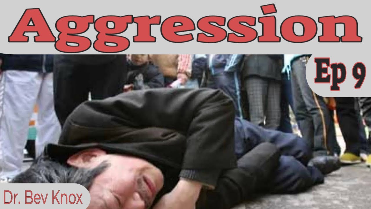 Ep 9 - Interpersonal Aggression ~ Causes & Interventions