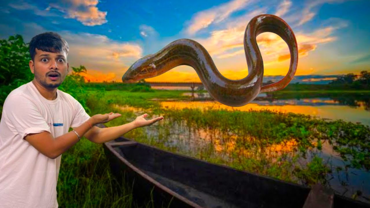 How to use Umbrella☂️ Fishing Net😜| Over Night Fishing | Catching snake fish from river