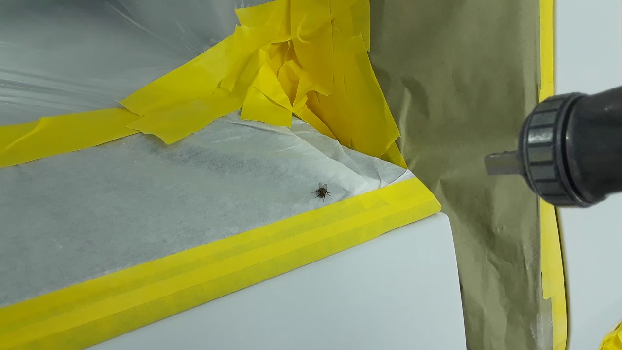 White fly full paint job