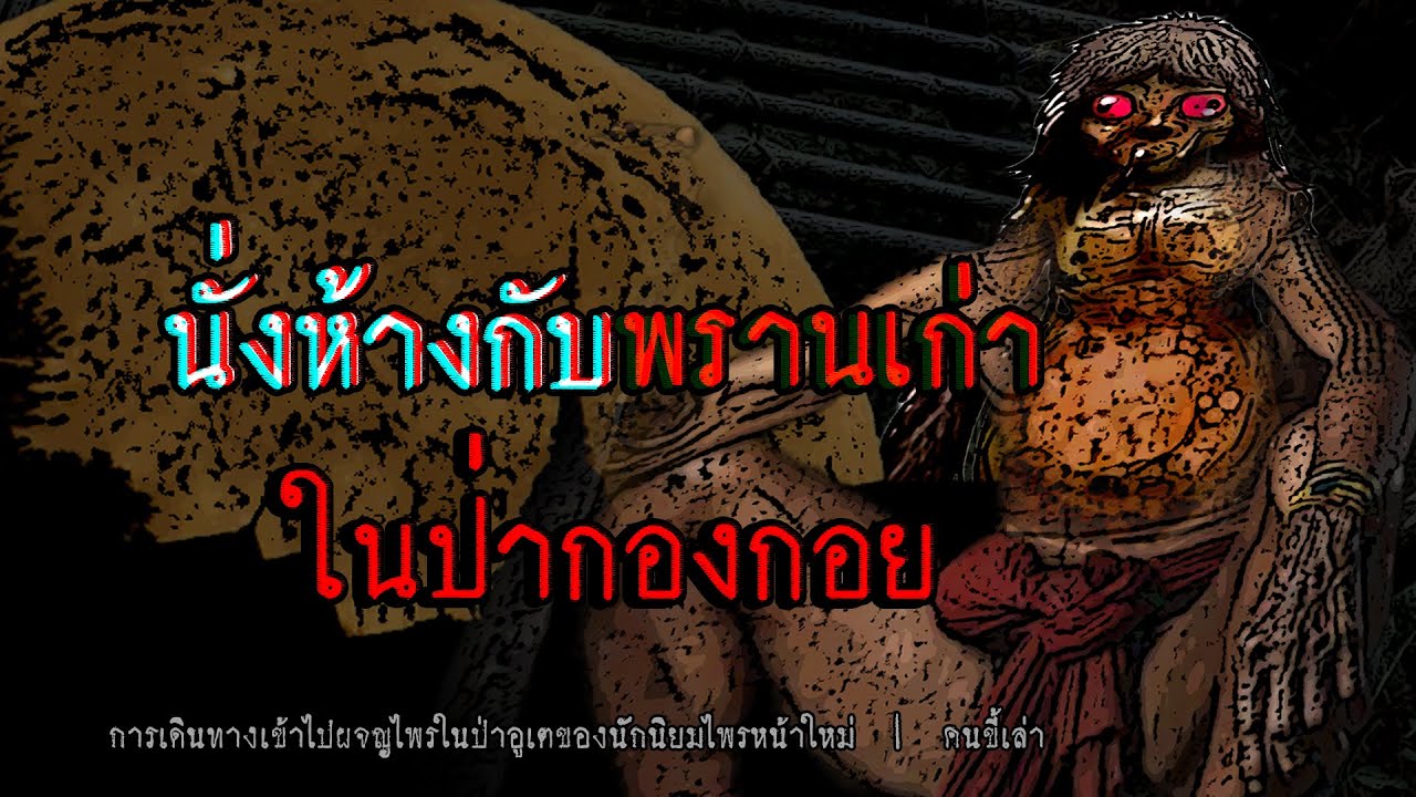 นั่งห้างกับพรานเก่า ในป่ากองกอย | คนขี้เล่า