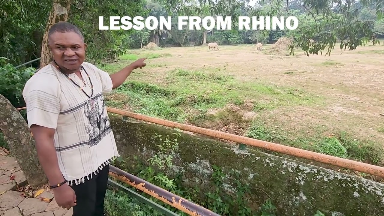 Lesson from the Rhino