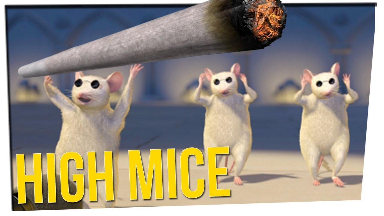 Police Fired After Blaming Mice ft. Boze & DavidSoComedy