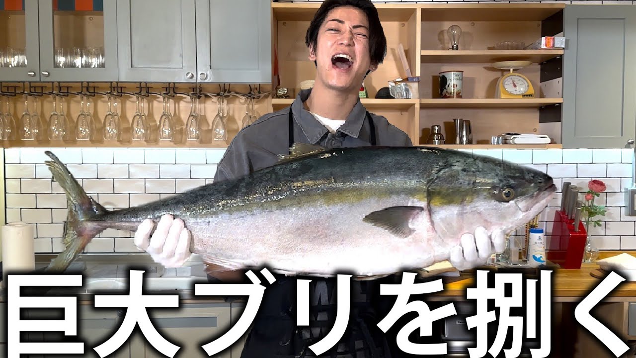 【魚】巨大なブリを入手してしまいました。ブリしゃぶを食べるために新しい包丁で捌いていく！