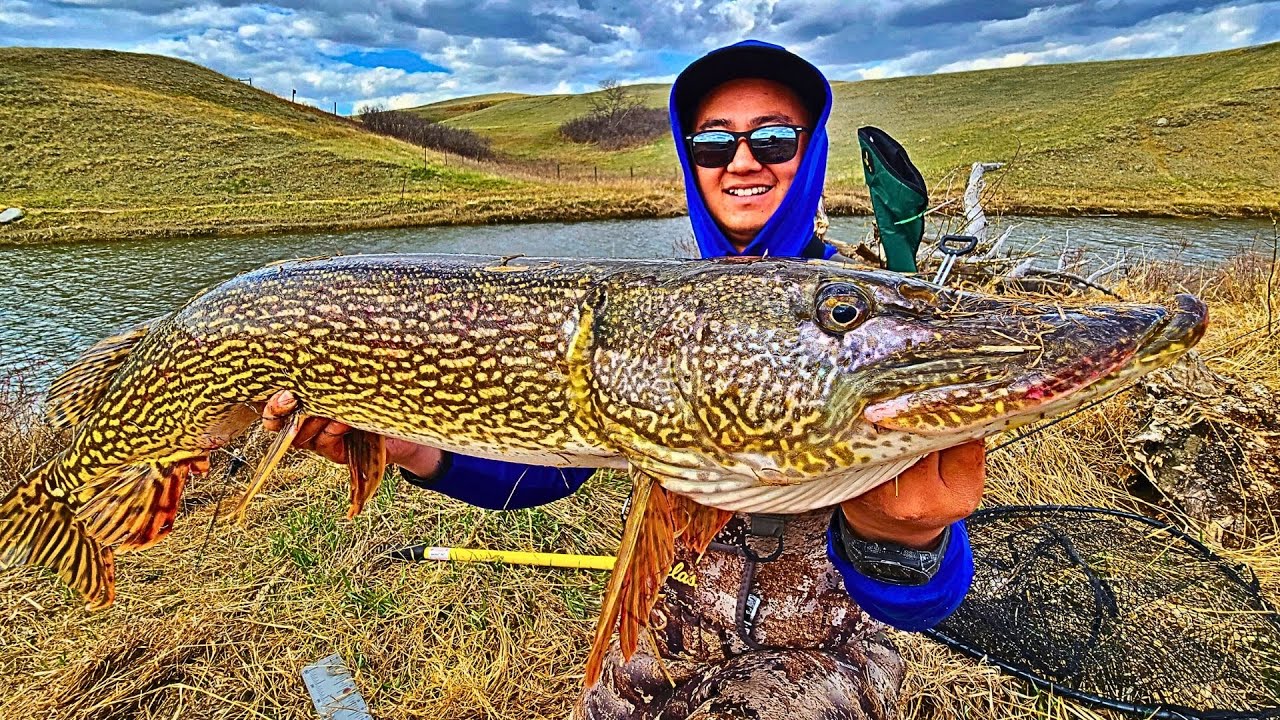 Fishing Northern Pike Heaven in Saskatchewan Canada
