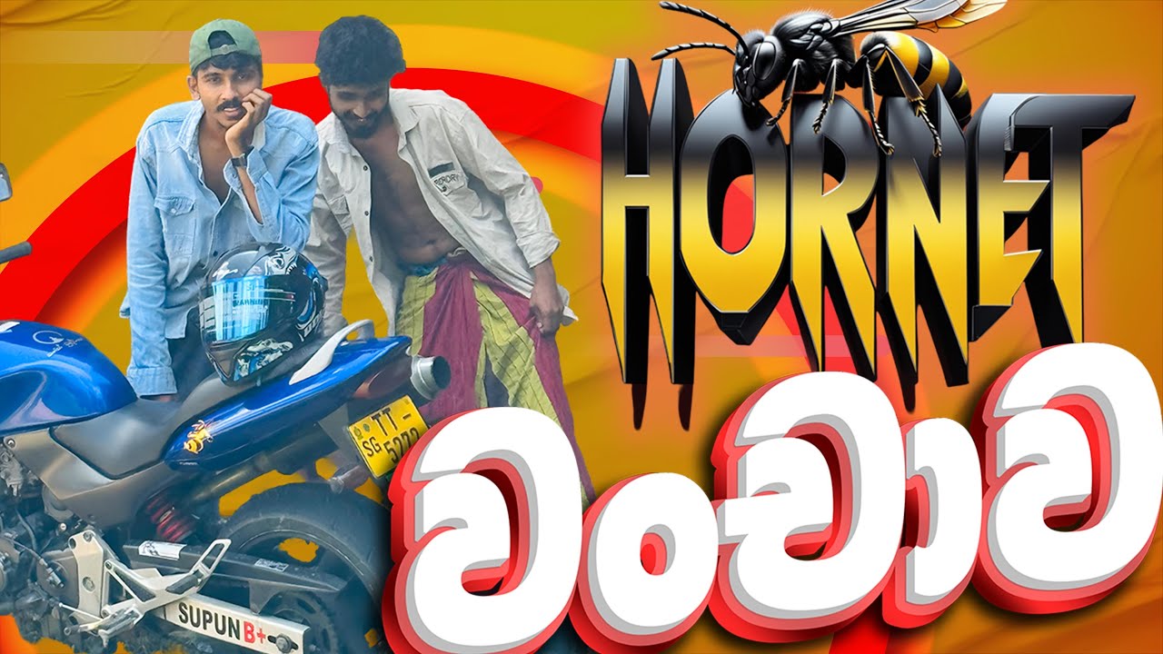 හැමෝම අහුවෙන Hornet වංචාව..ගන්න ඉන්න කෙනෙක් අනීවාර්‍යෙන්ම මේක බලන්නම ඕනි. # subscribe 🐝🐝🥹✊😞🐝😎