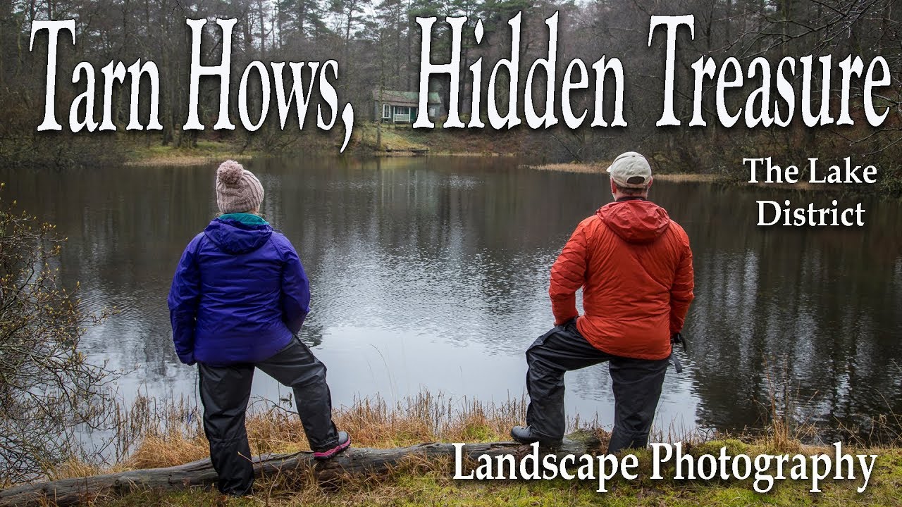 Tarn Hows, Lake District - UK Landscape Photography