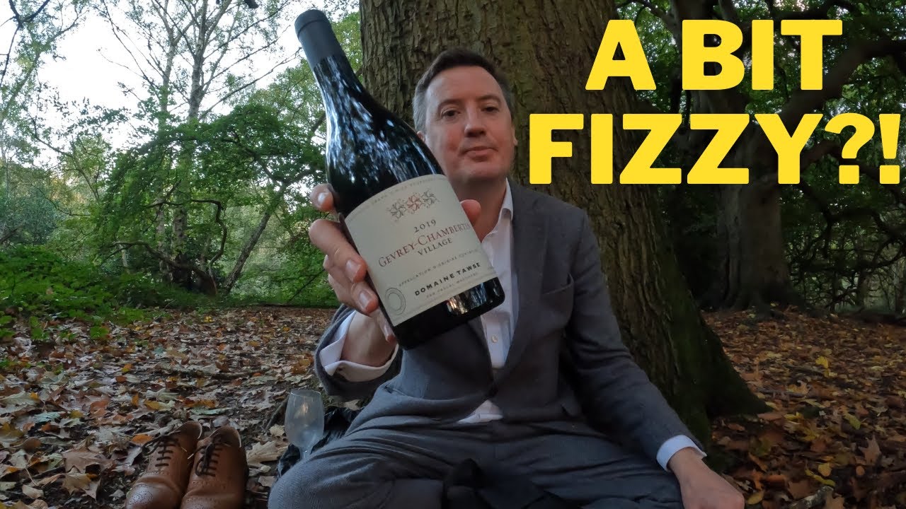 Tawse Gevrey Chambertin 2019
