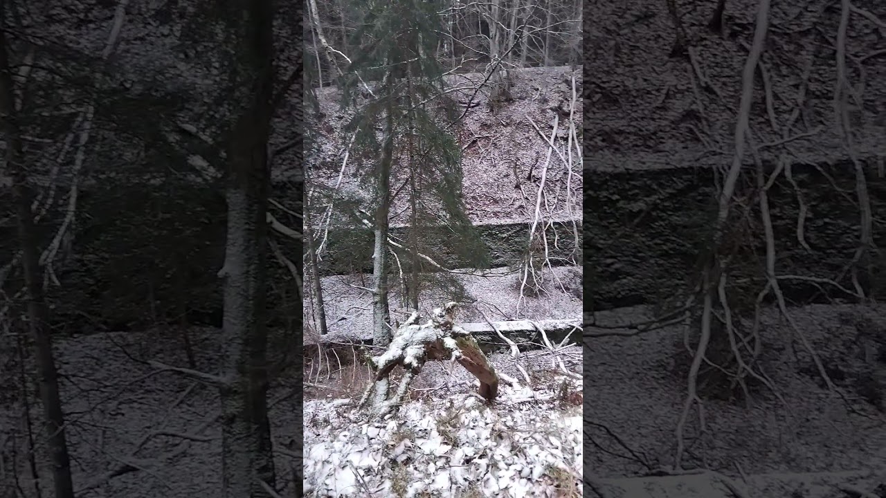Lost Place - Ehemalige Bahnstrecke zwischen Hillesheim und Birgel - Vulkaneifel Januar 2026
