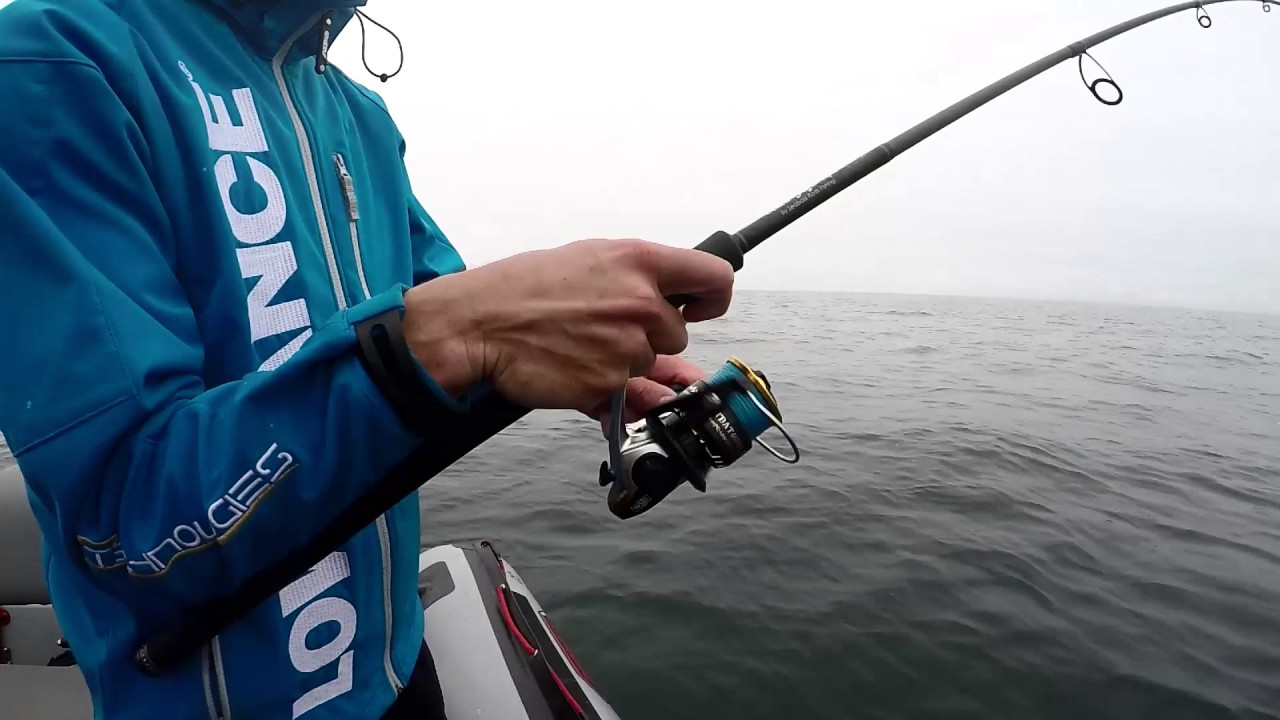 Pêche du lieu en Bretagne