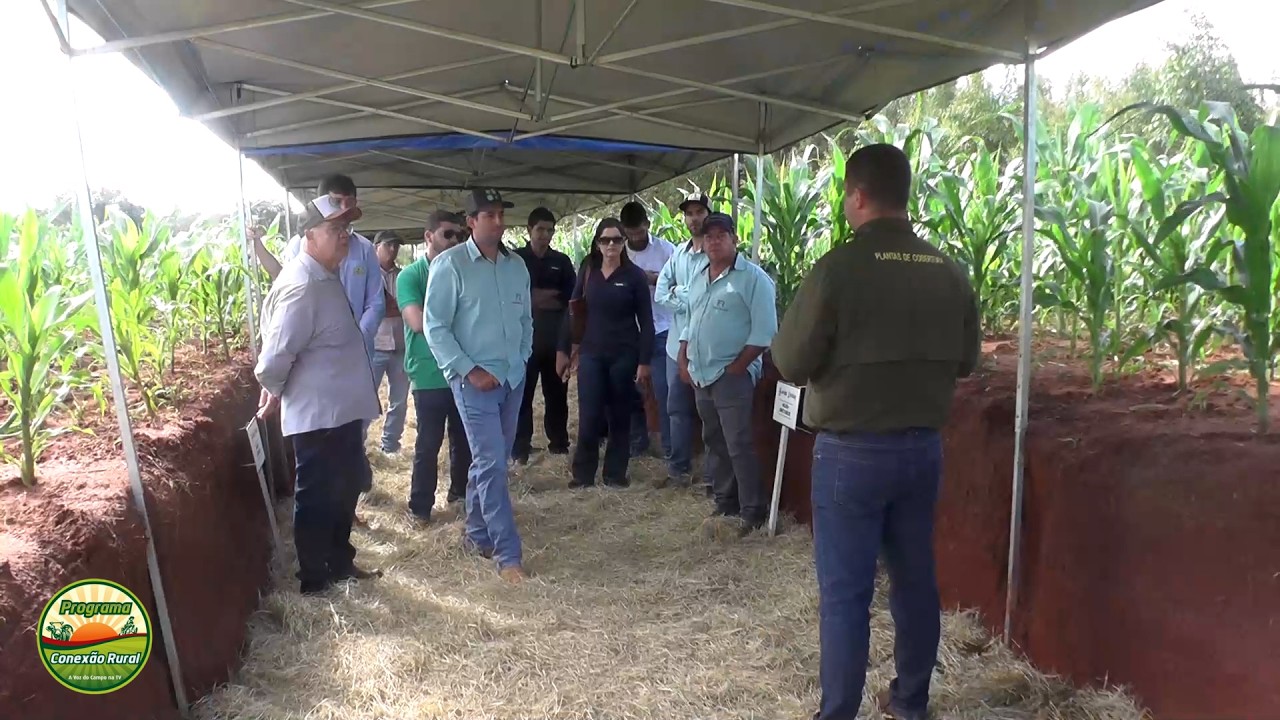 Cooperativa COMIGO apresenta pesquisas e tecnologias para elevar a eficiência da produção