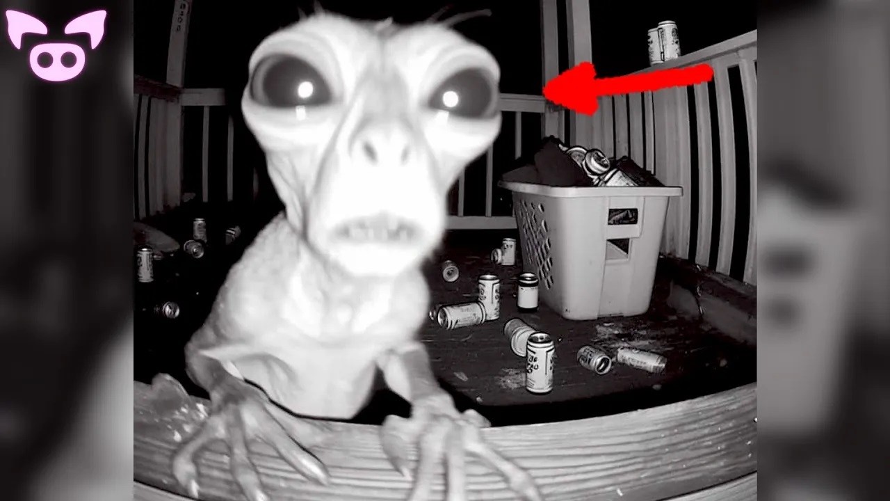 Scary Videos Live Stream with Slapped Ham: Ghosts, Cryptids and...